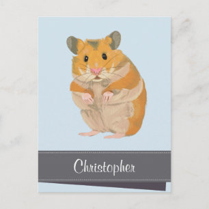Cartão Postal De Festividades Hammy Christmas Hamster Christmas