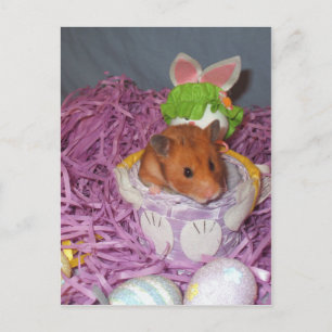 Cartão Postal De Festividades Hammy Easter Basket