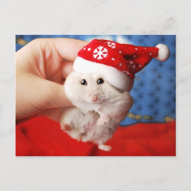 Cartão Postal De Festividades Hamster bonito Tutku do anão com chapéu de Papai (Frente)