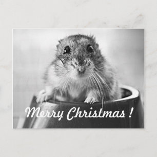 Cartão Postal De Festividades Hamster Christmas Card