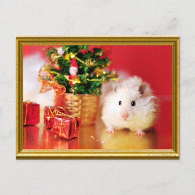 Cartão Postal De Festividades Hamster Kokolinka com árvore de Natal (Frente)