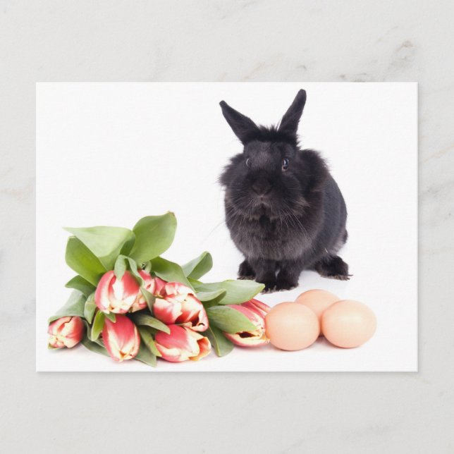 Cartão Postal De Festividades Happy Easter (Frente)