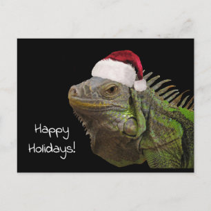 Cartão Postal De Festividades Happy Holidays Iguana Lizard with a Santa Hat