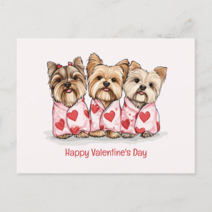 Cartão Postal De Festividades Happy Valentines Day Yorkshire Terrier Dogs