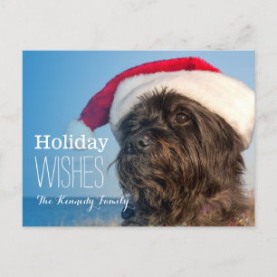 Cartão Postal De Festividades Head portrait of cairn terrier