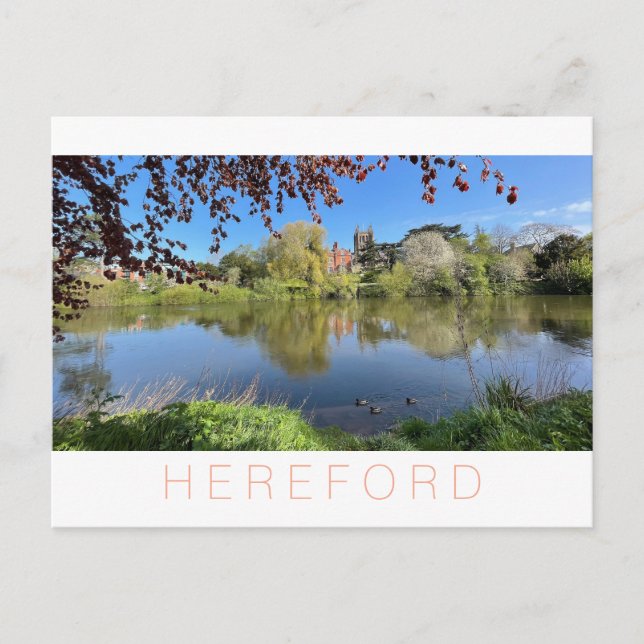Cartão Postal De Festividades Hereford (Frente)