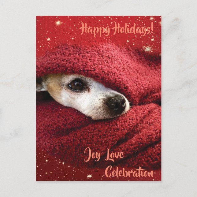 Cartão Postal De Festividades Holiday Chihuahua (Frente)