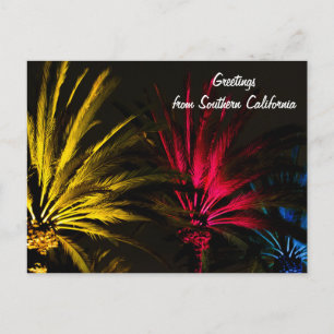Cartão Postal De Festividades Holiday Lights Palm Tree Postcard