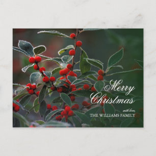 Cartão Postal De Festividades Holly Berries with Frost