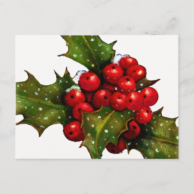 Cartão Postal De Festividades Holly de Natal com Berries e neve: Arte (Frente)