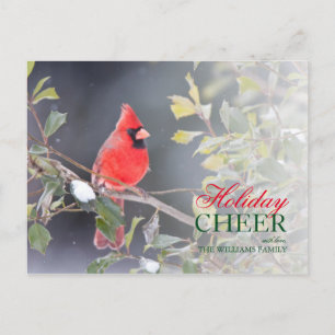Cartão Postal De Festividades Homem cardinal do norte no azevinho americano