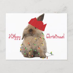 Cartão Postal De Festividades Hoppy Christmas Bunny Postcard