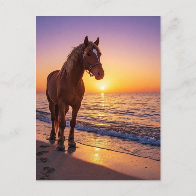 Cartão Postal De Festividades Horse at Sunset on the Beach Coastal Postcard (Frente)