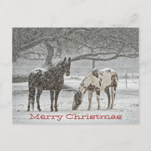 Cartão Postal De Festividades Horses Standing In Snow Wish You Merry Chrsitmas