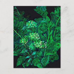 Cartão Postal De Festividades Hortênsia e Rábano Floral Arte Preto e Verde