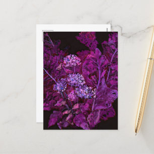 Cartão Postal De Festividades Hortênsia & Floral Arte de Rábano Silvestre Preto 