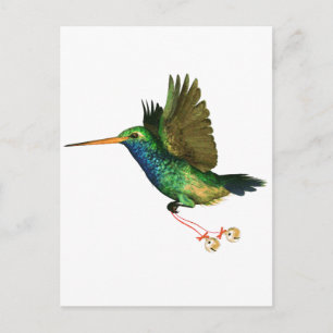 Cartão Postal De Festividades Hummingbird