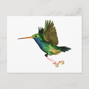 Cartão Postal De Festividades Hummingbird