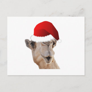 Cartão Postal De Festividades Hump Day Camel Santa Claus Hat