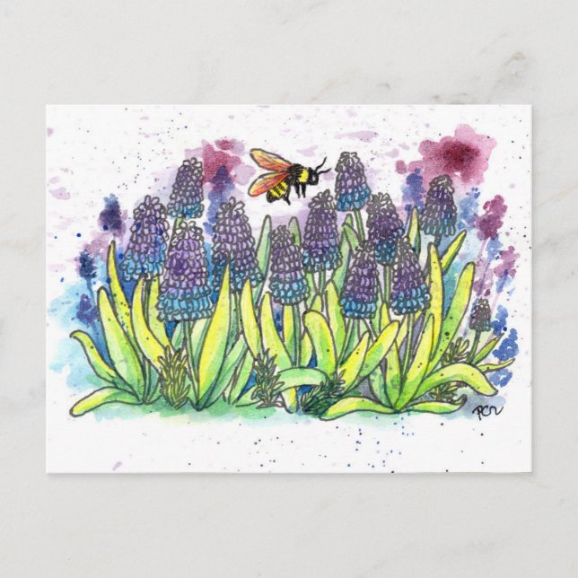 Cartão Postal De Festividades Hyacinth Grape (Frente)