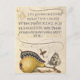 Cartão Postal De Festividades Ilustração Botânica Vintage