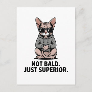 Cartão Postal De Festividades Ilustração de Atitude de Gato Sphynx Superior