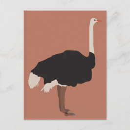 Cartão Postal De Festividades Ilustração de aves de avestruz