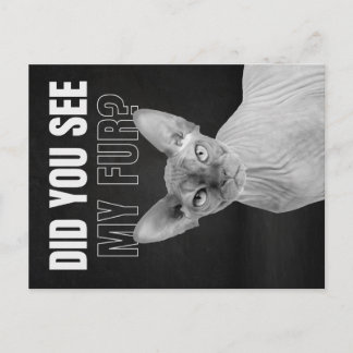 Cartão Postal De Festividades Ilustração de Humor de Gato Sphynx Sarcástico