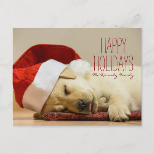 Cartão Postal De Festividades Imagem horizontal de uns dois meses Labrador velho