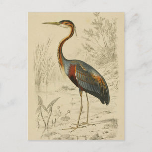 Cartão Postal De Festividades Impressão de Edouard Roxo Anítico