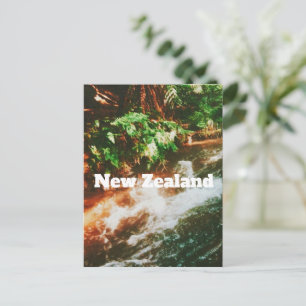 Cartão Postal De Festividades Impressão de viagem da Nova Zelândia