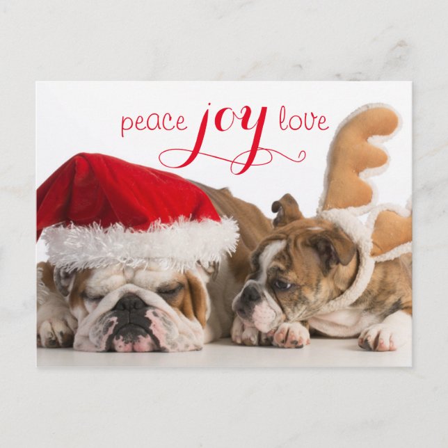 Cartão Postal De Festividades Inglês Bulldog Papais noeis E Reindeer (Frente)