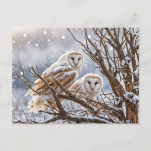 Cartão Postal De Festividades Inverno Solstício Coruja Neve