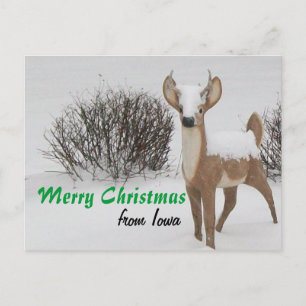 Cartão Postal De Festividades Iowa Christmas