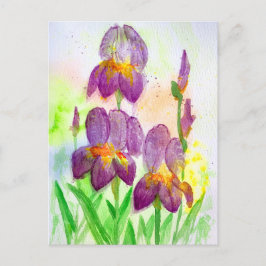 Cartão Postal De Festividades Írisos Violetas Azuis na Pintura em Aquarela