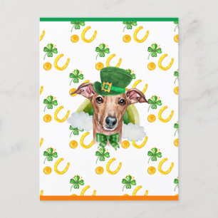 Cartão Postal De Festividades Italian Greyhound Shamrock Dia de São Patrício