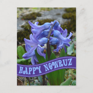 Cartão Postal De Festividades Jacinto Azul do Jardim Ano Novo Iraniano Nowrooz