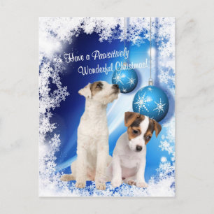 Cartão Postal De Festividades Jack Russell Pawsitively Wonderful Christmas Wish2