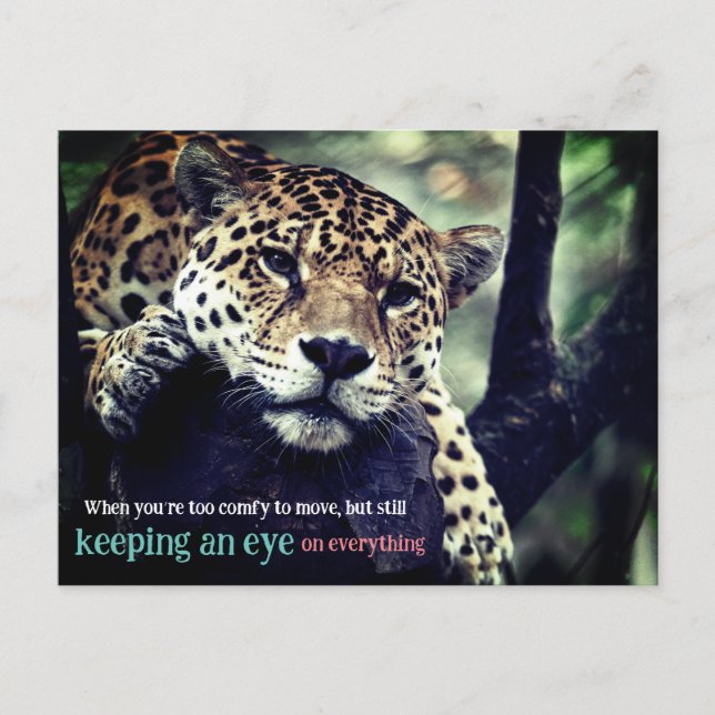 Cartão Postal De Festividades Jaguar preguiçoso na foto da árvore (Frente)