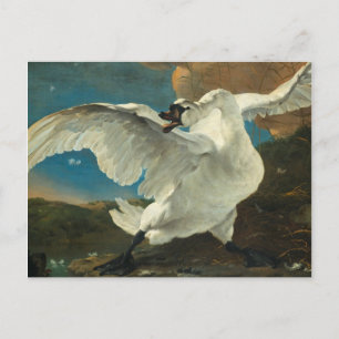 Cartão Postal De Festividades Jan Asselyn - O Cisne Ameaçado