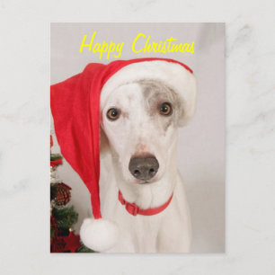 Cartão Postal De Festividades Jaspe o cão do Natal