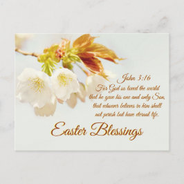 Cartão Postal De Festividades John 3:16 Deus adorava o mundo, Bênçãos Páscoas