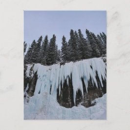 Cartão Postal De Festividades Johnston Canyon Postcard