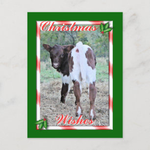 Cartão Postal De Festividades JoleeChristmasPcard-customize