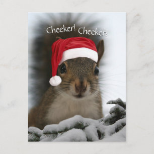 Cartão Postal De Festividades Jolly Squirrel Vestindo Santa Hat Papais noeis Squ