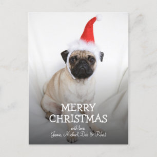 Cartão Postal De Festividades Jovem cão vestindo o chapéu de Santa