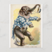 Jumbo Jolly Boy