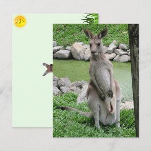 Cartão Postal De Festividades Kangaroo com Joey Postcard
