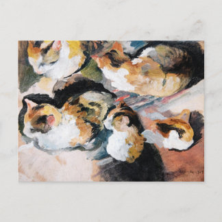 Cartão Postal De Festividades Katzenstudien (Estudo de um Gato) 1909