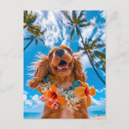 Cartão Postal De Festividades King Charles Cocker Spaniel tira selfies pela inte